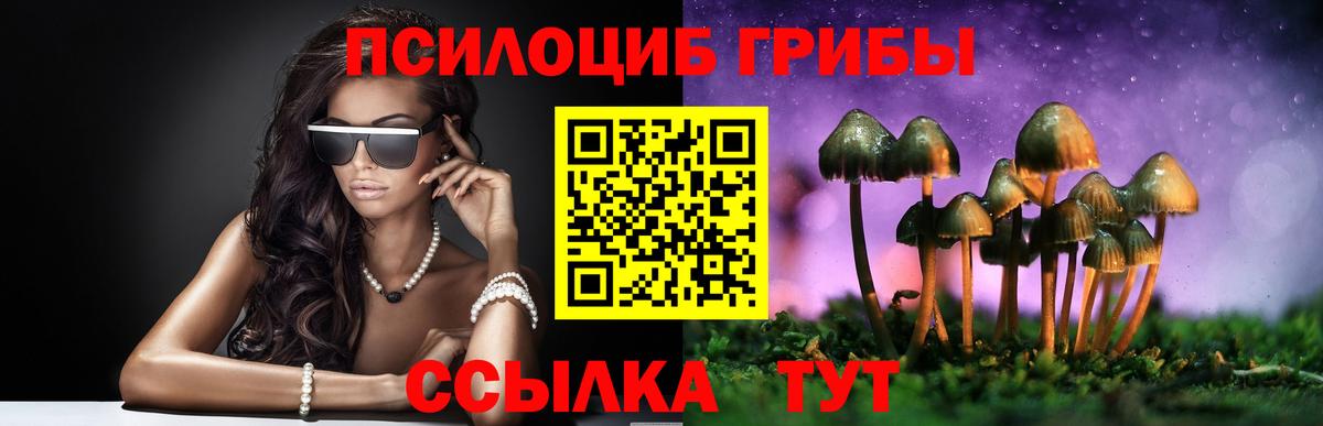 Керчь  купить закладку  Вход с VPN  Псилоцибиновые грибы Cubensis 